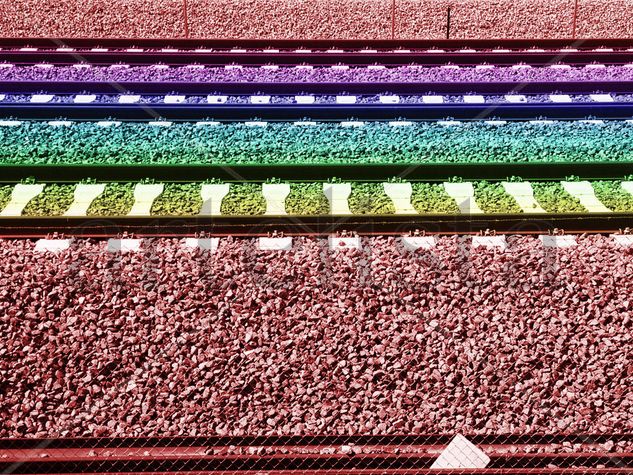 TRAIN Travel Color (Digital)