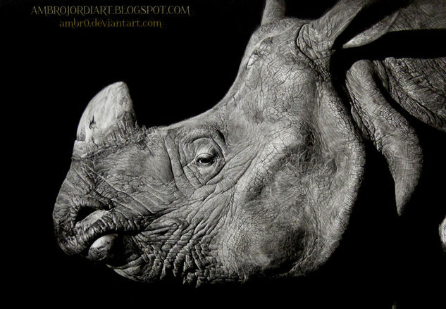 Rhinoceros dibujo por AmBrO Graphite