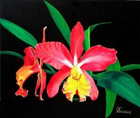 Cattleya...