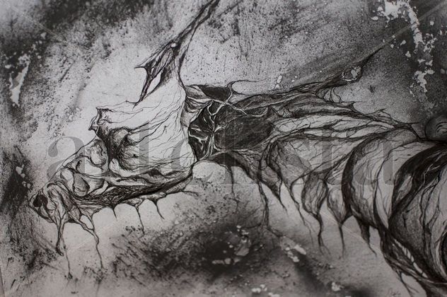 S/T