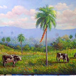 LOS PAISAJES CIBAEñOS,LOS FRAMBOYANES Y LAS LAVANDERAS DEL CIBAO, SANTIAGO DE LOS CABALLEROS REP. DOM. thumbnail 2
