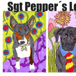 Sgt Pepper Lonely Hearts Dog Band thumbnail 1