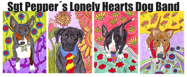 Sgt Pepper Lonely Hearts Dog Band Wr Rotulador