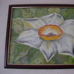 Flores thumbnail 1