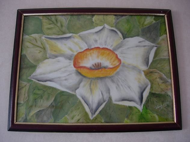 FLOR