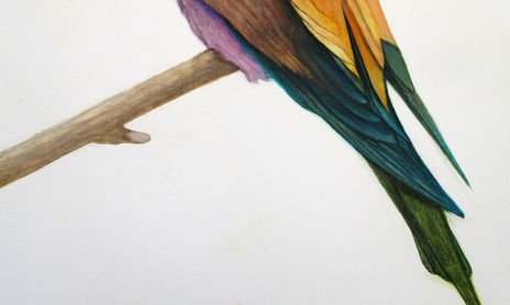 Animales realistas