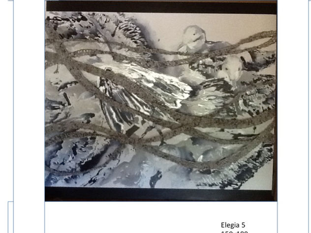 elegia 5