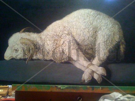 Agnus Dei