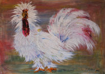 Gallo despelucado 2