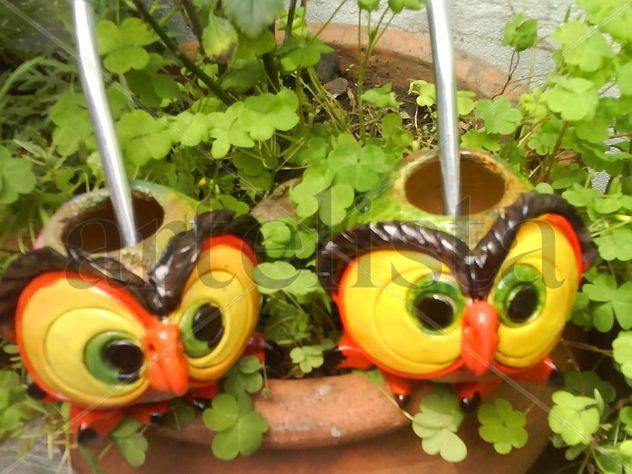 LECHUZAS MATES
