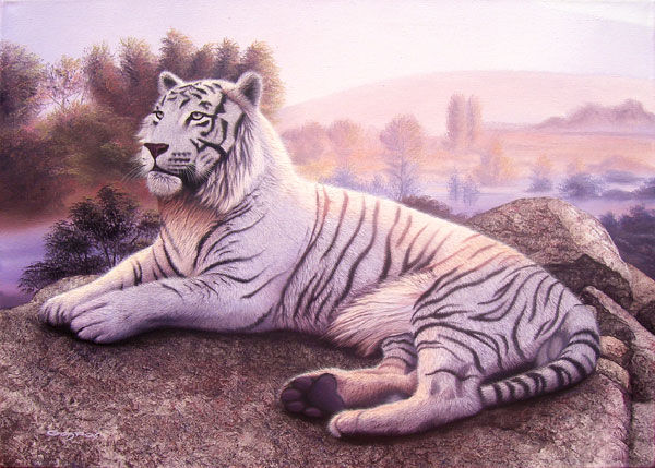 Atardecer en el valle del tigre blanco Oil Canvas Animals