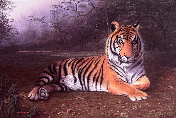 El reinado del tigre bueno Oil Canvas Animals