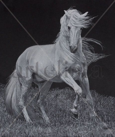 Caballo Blanco Pencil