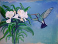 Colibrí y Mariposa