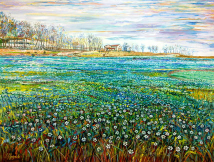 Campo de flores