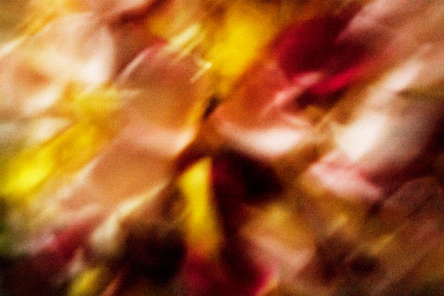 PETALOS.I Conceptual/Abstracto Color (Digital)