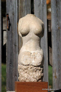 Torso femenino