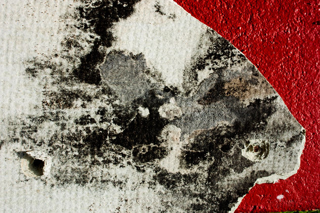 PARED