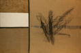 Tanger/Seccion Aurea y Signo/ 2000