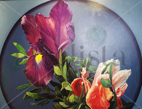 Orquídeas
