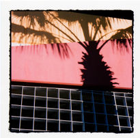 Palms with personality