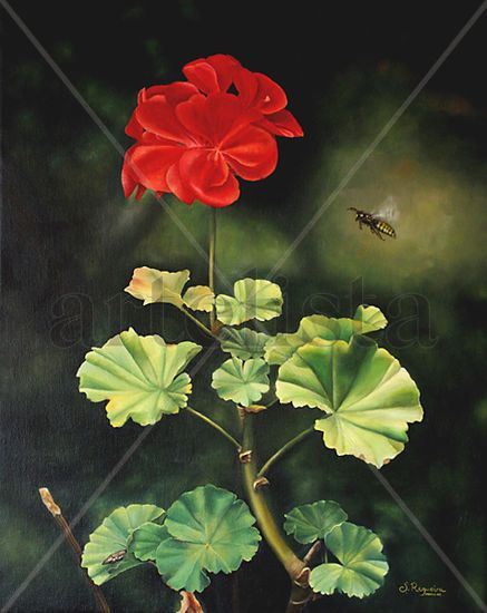 Geranio Oil Canvas Floral Painting