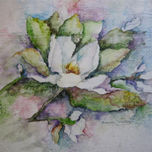flores thumbnail 2