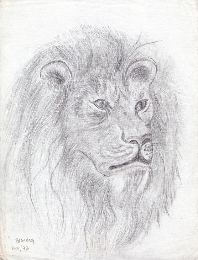 Estudio de Animales, Rostro de un León