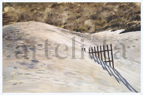 Dunas en Doñana