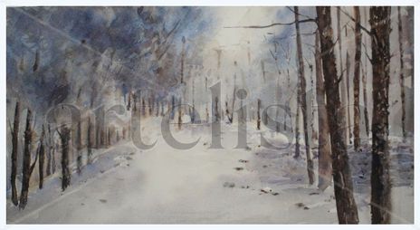 Paisaje de invierno
