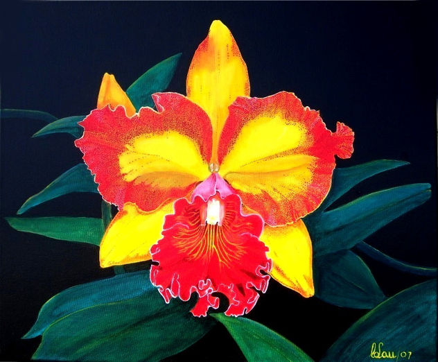 Cattleya "Hummingbird" Orchid