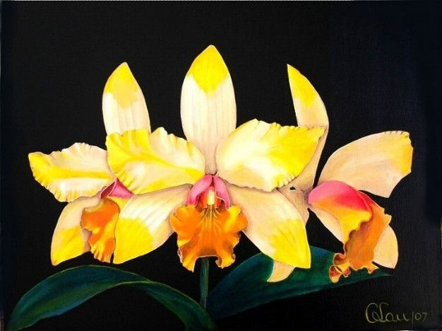 "Heart of Gold" Cattleya Hybrid Orchid Acrylic Canvas Floral Painting