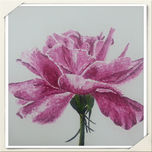 Jardin thumbnail 1