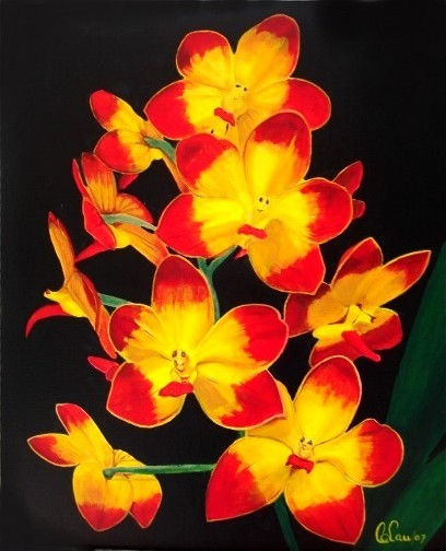 "Fuchs Sunset" Vandaceous Hibrid Orchids