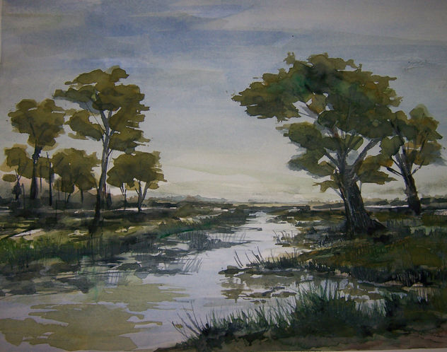 el arroyo