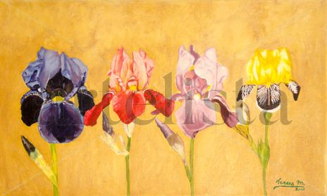 Flora