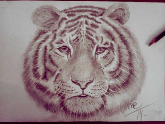 Tiger Graphite