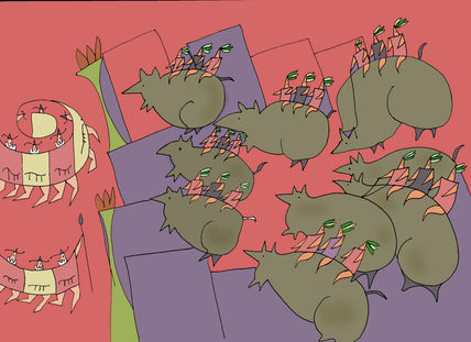 Ratas luchando...