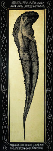 Pluma, reflejo de mujer Tinta