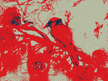 Rojo de la mañana