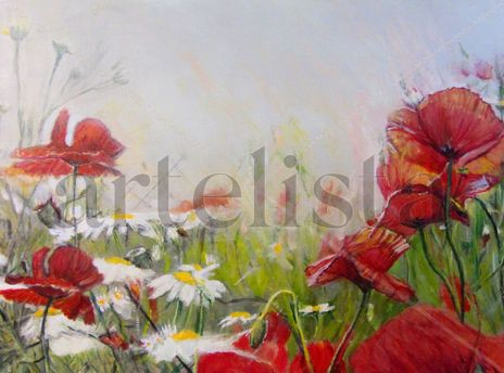 Amapolas silvestres