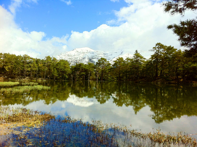 MOUNTAIN PARADISE