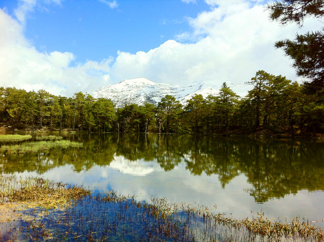 MOUNTAIN PARADISE Nature Color (Digital)