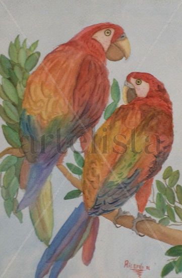 Loros Watercolour Card Animals