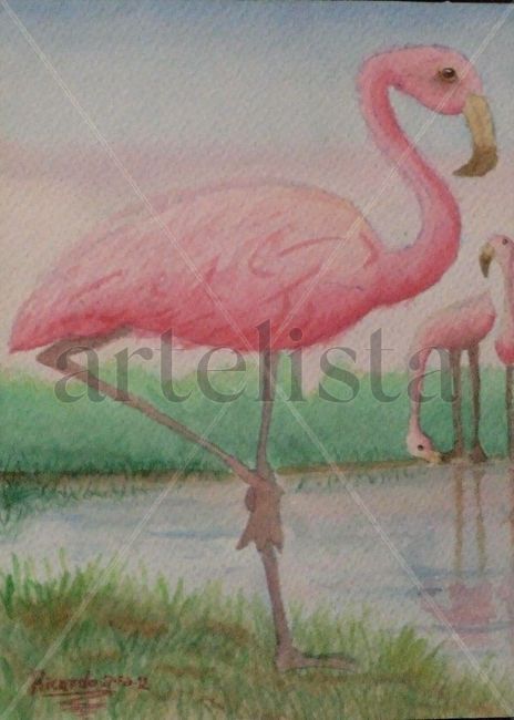 Flamingos