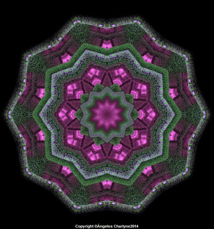 Textura