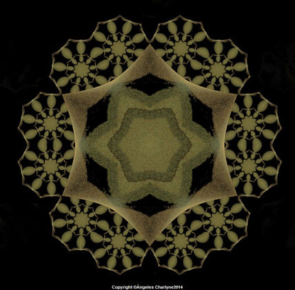 Roseta