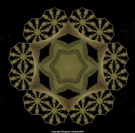 Roseta