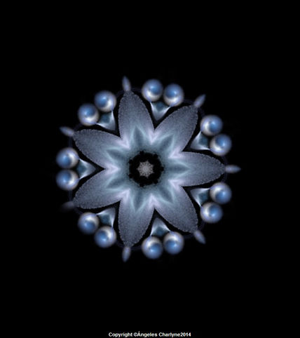Estrella