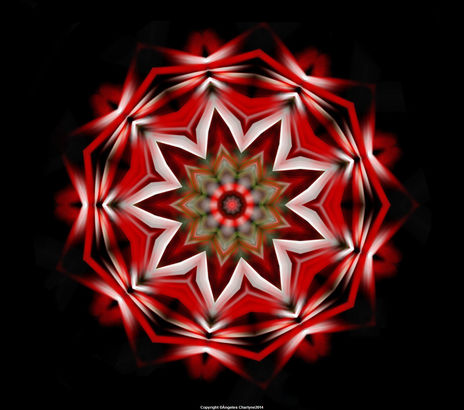 Rojos